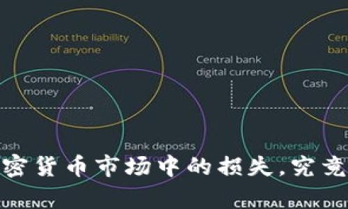 深入分析：加密货币市场中的损失，究竟有多少美金？