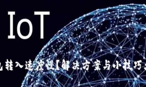 TP钱包转入速度慢？解决方案与小技巧大揭秘