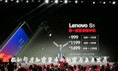 揭秘印度加密货币的秘密与未来发展