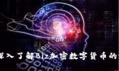 探索未来：深入了解Biz加