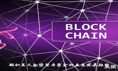 揭秘美元加密货币资金的未来发展趋势