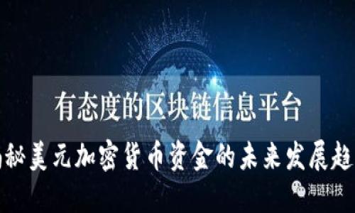 揭秘美元加密货币资金的未来发展趋势