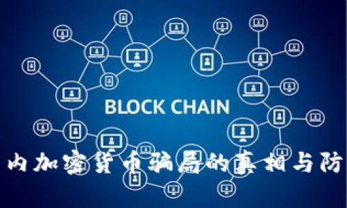 揭秘国内加密货币骗局的真相与防范策略