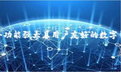 完美掌握TP钱包BSC下载指南