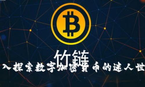 深入探索数字加密货币的迷人世界