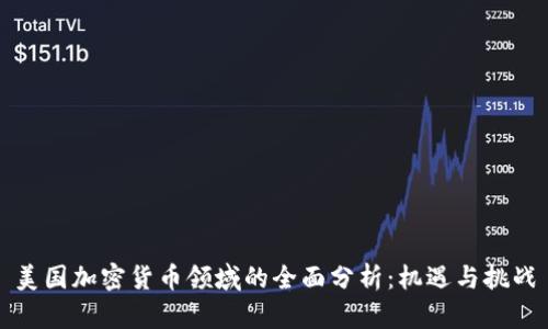 美国加密货币领域的全面分析：机遇与挑战