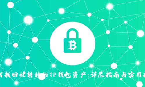 如何找回被转移的TP钱包资产：详尽指南与实用技巧