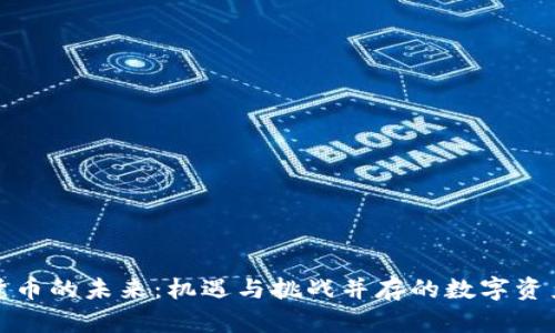 加密货币的未来：机遇与挑战并存的数字资产世界