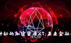 深入探索神秘的加密货币