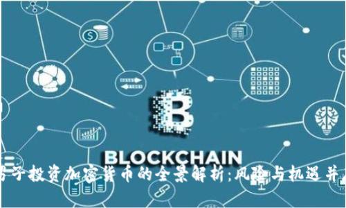 男子投资加密货币的全景解析：风险与机遇并存