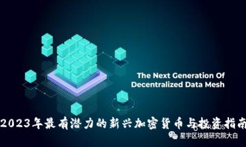 2023年最有潜力的新兴加密货币与投资指南
