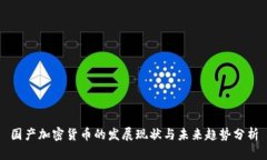 国产加密货币的发展现状