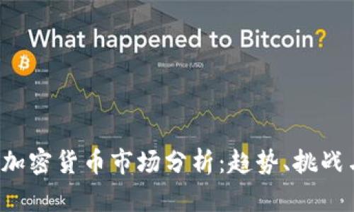 2022全球加密货币市场分析：趋势、挑战与未来展望