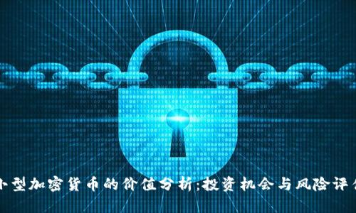 小型加密货币的价值分析：投资机会与风险评估