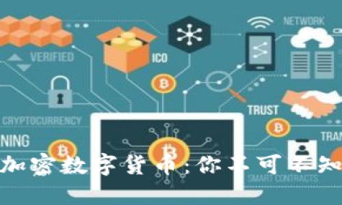 全球最大的加密数字货币：你不可不知的投资机会