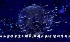 数字货币加密技术案例解