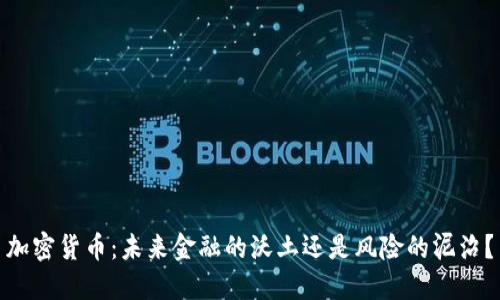 加密货币：未来金融的沃土还是风险的泥沼？
