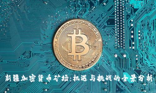 新疆加密货币矿场：机遇与挑战的全景分析