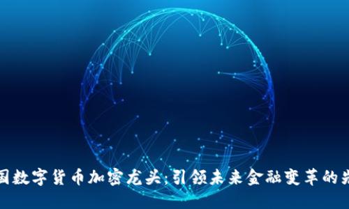 中国数字货币加密龙头：引领未来金融变革的先锋