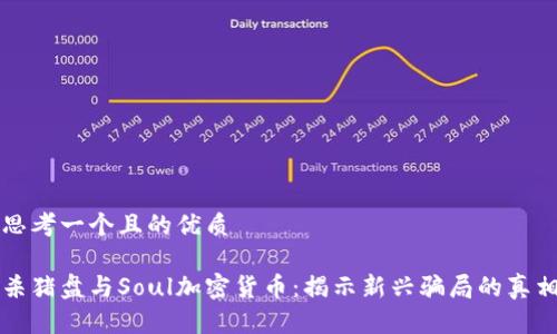 思考一个且的优质

杀猪盘与Soul加密货币：揭示新兴骗局的真相