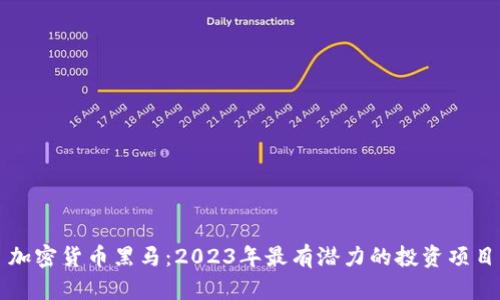 加密货币黑马：2023年最有潜力的投资项目