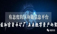 阿联酋加密货币矿厂：未来数字资产的聚集地