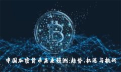 中国加密货币未来预测：趋势、机遇与挑战