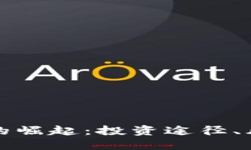 通用加密货币的崛起：投资途径、风险与未来展望