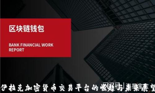 
伊拉克加密货币交易平台的崛起与未来展望