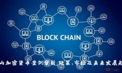 国内加密货币案例分析：政策、市场及未来发展