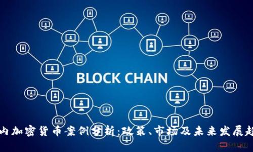 国内加密货币案例分析：政策、市场及未来发展趋势