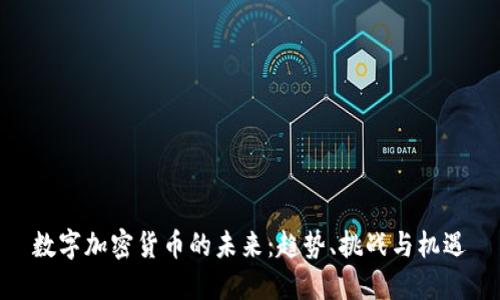 数字加密货币的未来：趋势、挑战与机遇