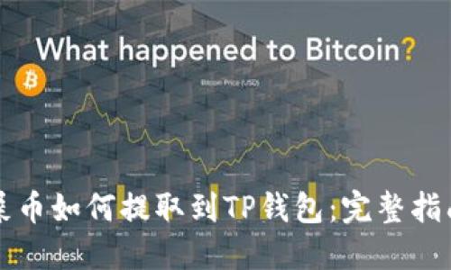 屎币如何提取到TP钱包：完整指南