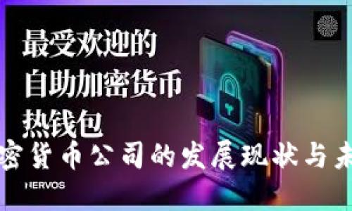 福州加密货币公司的发展现状与未来趋势